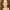 Bernadette Peters