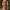 Jesse Rath