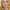 Nina Hoss