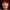 Patricia Richardson