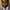 Gary Carr