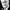 Franklin D. Roosevelt