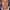 Nicholas Lyndhurst