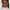 Kelly Jenrette