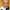 Gavin MacLeod