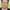 Greg Poehler