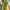 Marcus Mossberg