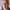 William McInnes
