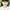 Momoka Ohno