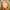 Sally Lindsay