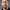 Nate Mendel