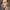 Mackenzie Crook