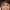 Ivonne Coll