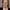 Paul Whitehouse