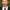 Thomas Lennon