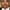 Ken Davitian