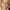Meredith Baxter