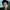 Harry Shum Jr.