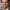 Jake Johnson