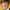 Jorma Taccone