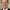 George H. W. Bush