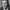 Steve Forrest