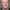 Ed Begley Jr.