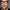Stanley Tucci