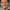 Tom Holland