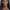 Rutina Wesley