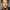 James Denton