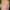 Jake Busey