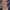 Neil Morrissey