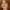 Lauren Ambrose