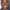 Phill Lewis