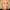 Barbara Crampton