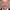 Geoffrey Palmer