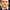 Chris Noth
