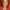Judith Hoag