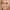 Kim Richards