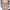 Chris Gethard