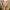 Anne Heche