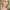 Barbara Alyn Woods