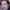 Cesare Capitani