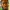 Ray Gantt