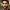 Naga Chaitanya Akkineni