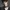 Diane Warren