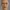 Leon Kemstach