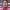 Alex Sandro