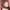 桜木つぐみ
